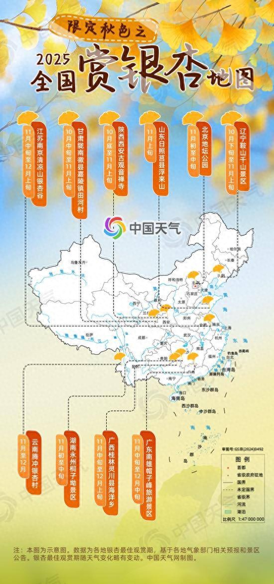 錯過再等一年!全國銀杏觀賞地圖來了